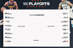 NBA湖人队东契奇与马尔卡宁：同薪不同效，风格与贡献大解析